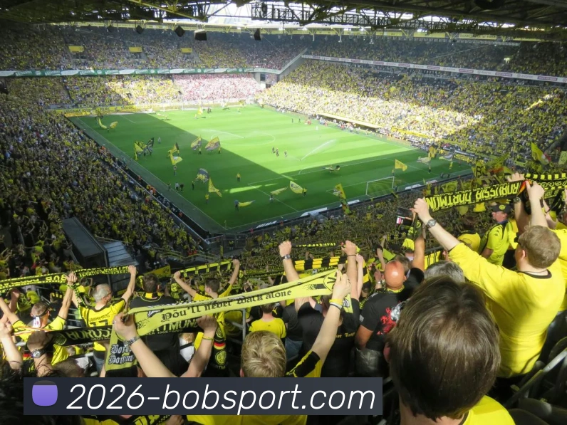 BOB体育发展历程