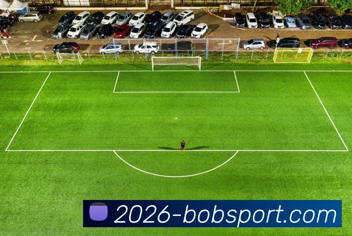 前塞内加尔主帅回忆马内罢赛时的关键对话与决策建议